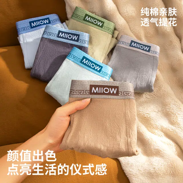 MIIOW 10A