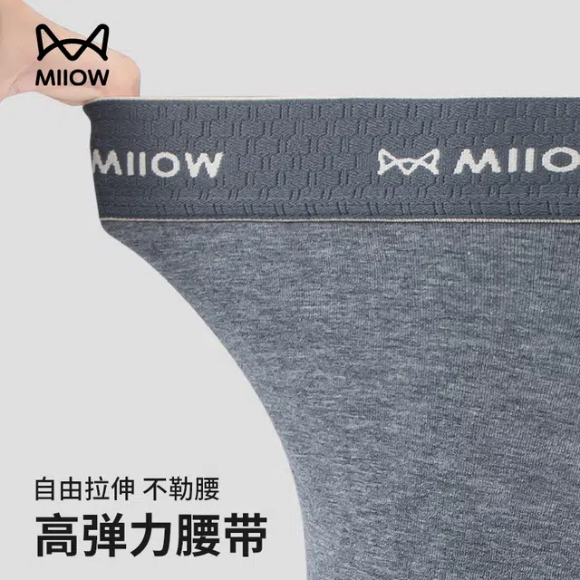 MIIOW 10A