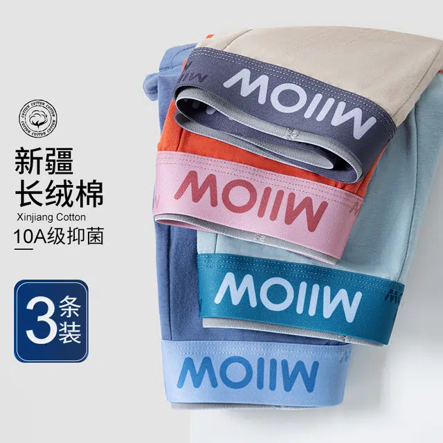 MIIOW 10A 3