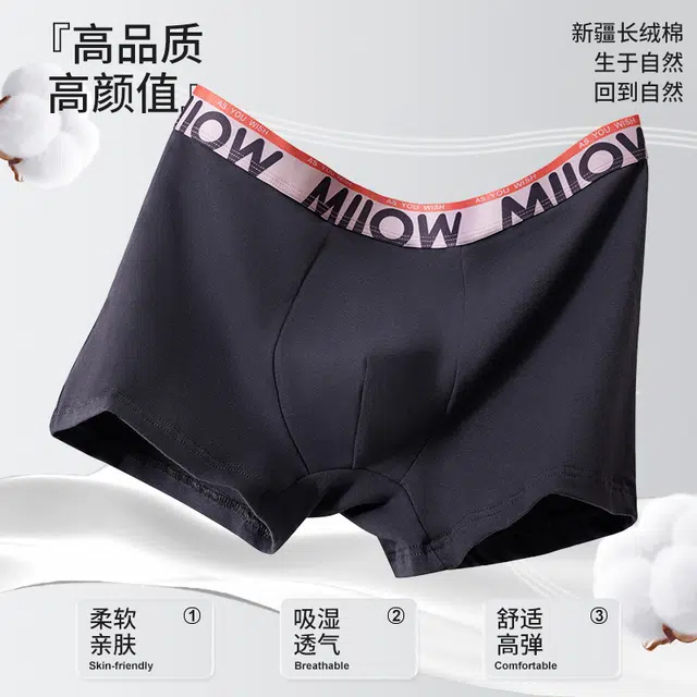 MIIOW 10Alogo 3