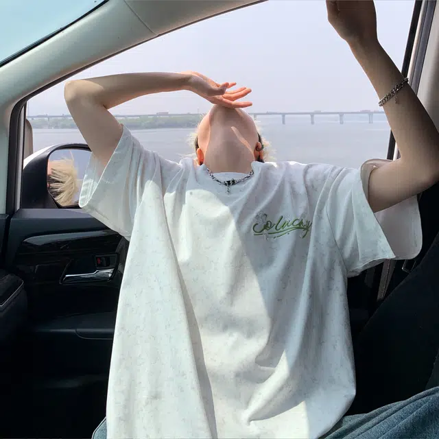 PLQV T