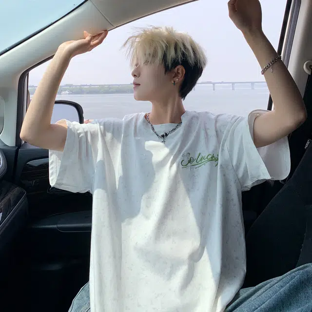 PLQV T