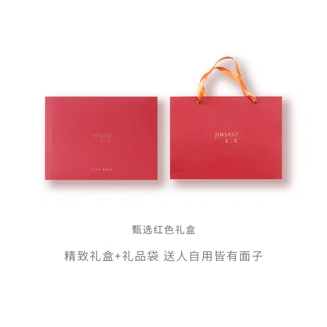 JINSANT 100V