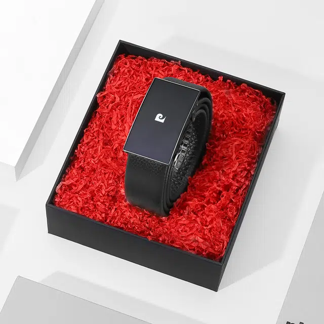 PIERRE CARDIN
