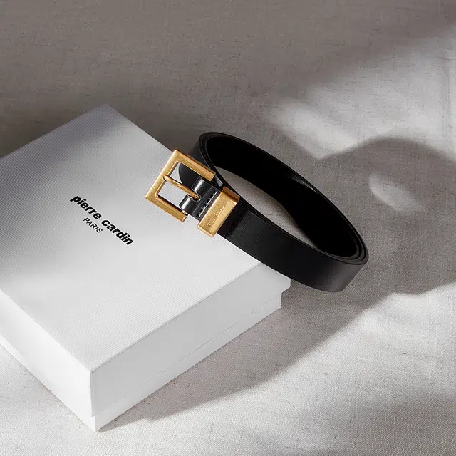 PIERRE CARDIN ( 2.4cm