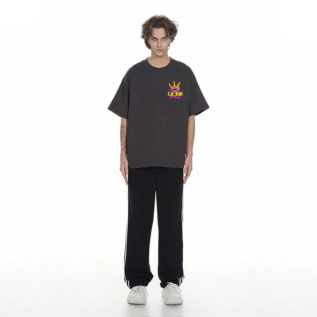 Evil lions T