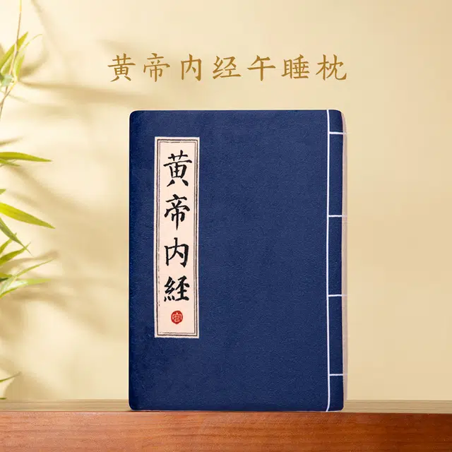 宫廷宝贝 故宫文创 黄帝内经沙发睡觉抱枕 玩偶 毛绒公仔