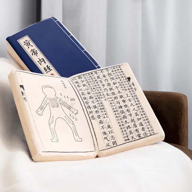 宫廷宝贝 故宫文创 黄帝内经沙发睡觉抱枕 玩偶 毛绒公仔