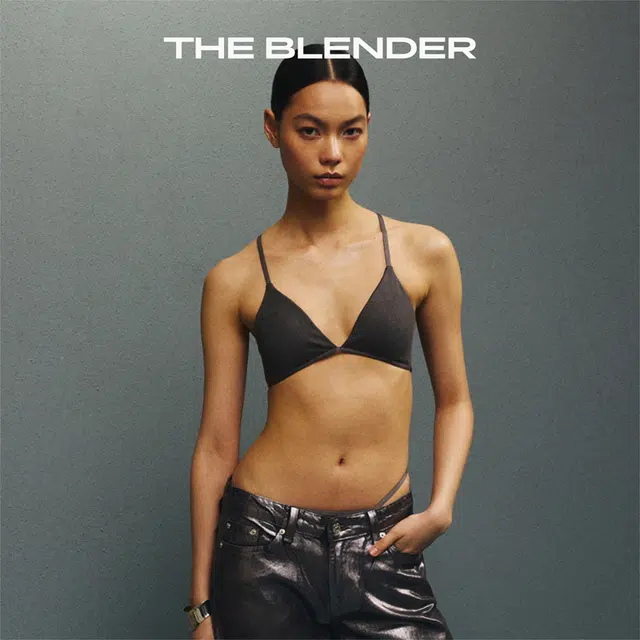 The Blender V