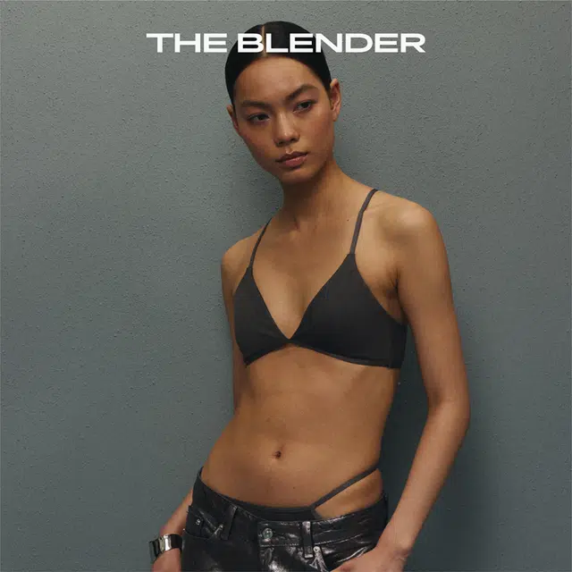 The Blender V