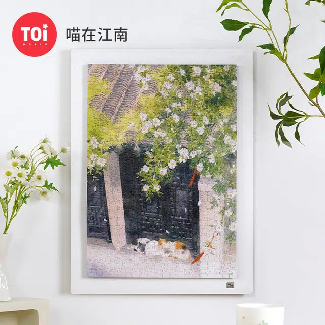 TOI 500pcs 23505