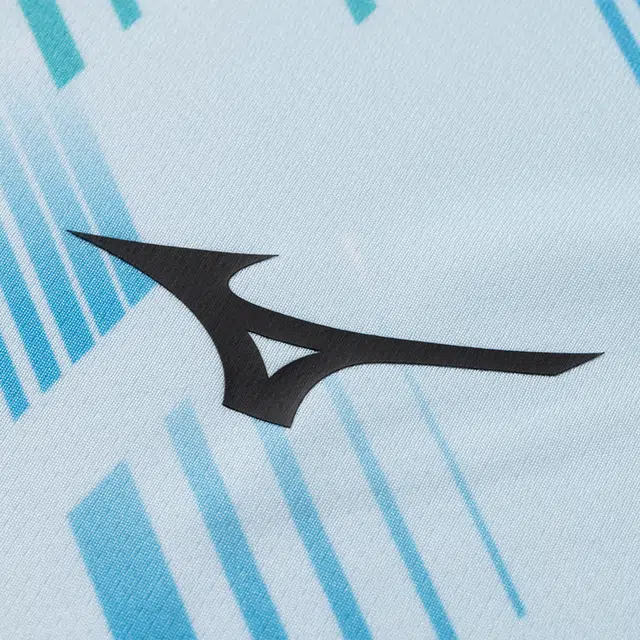 Mizuno T