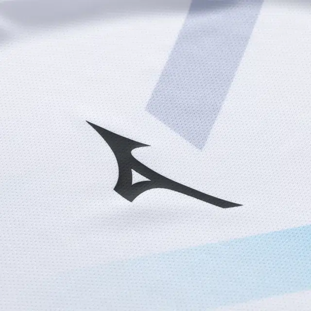 Mizuno T