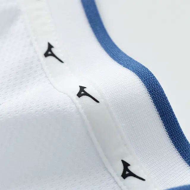 Mizuno T