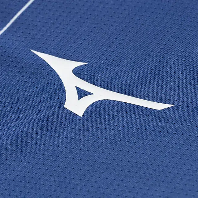 Mizuno T