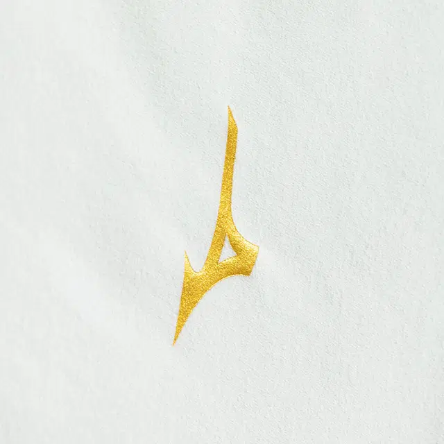 Mizuno LOGOpolo 1
