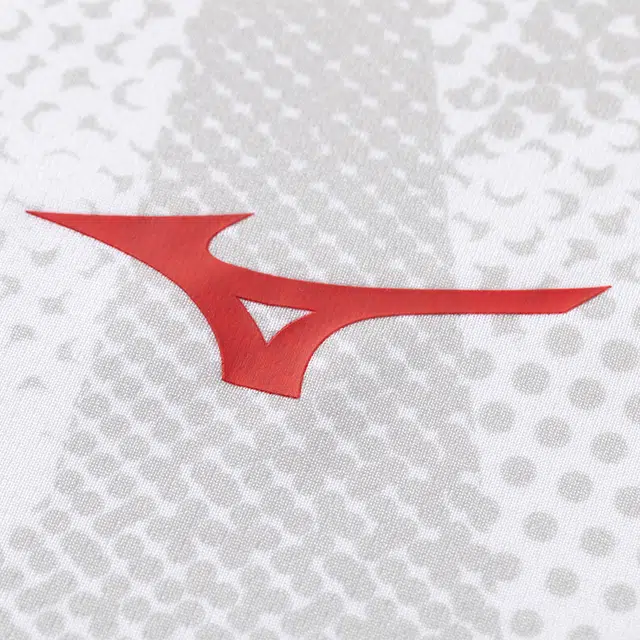 Mizuno 2