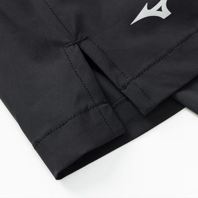 Mizuno
