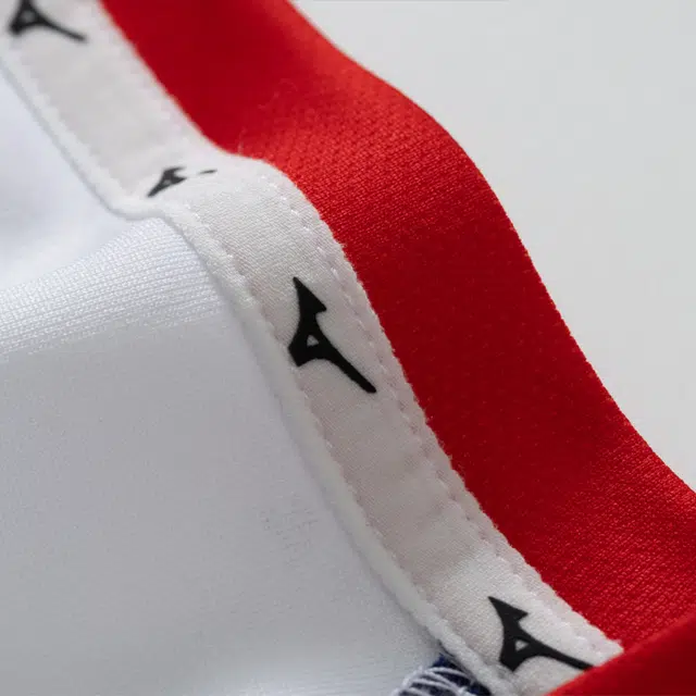 Mizuno T