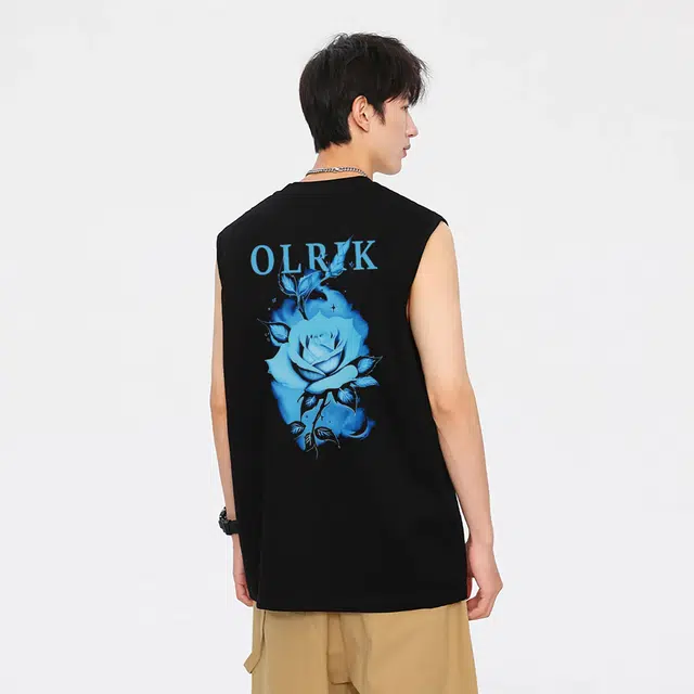 OLRIK 250