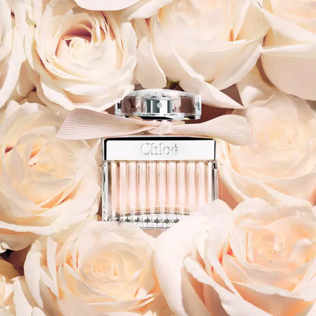 Chloe EDP 50ml+100ml