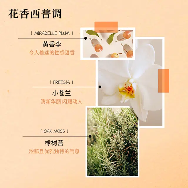 Chloe EDP1.2ml