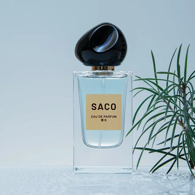 SACO EDP