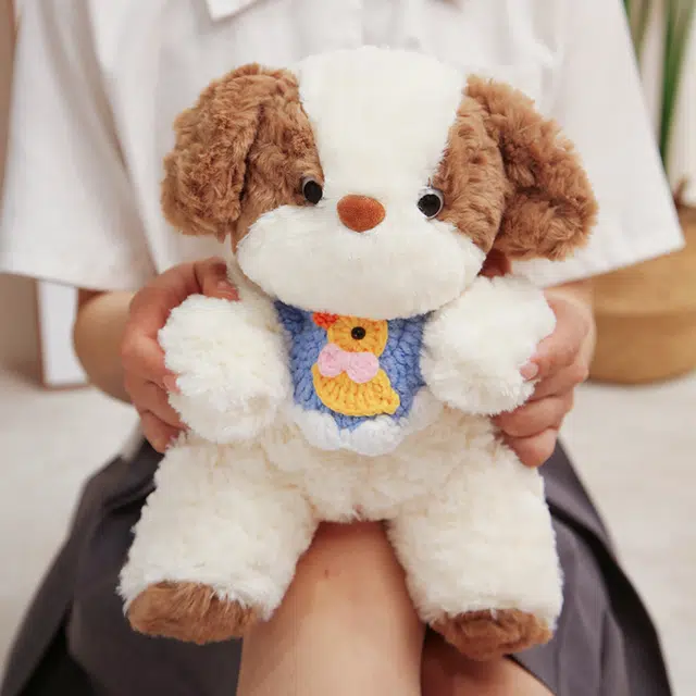 25cm35cm