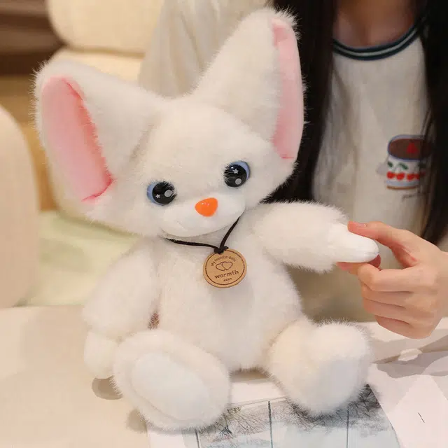 30cm50cm