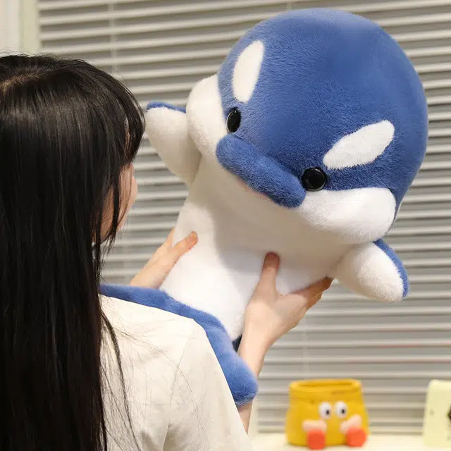 35cm50cm