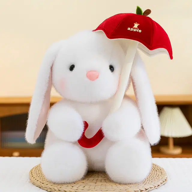 25cm35cm