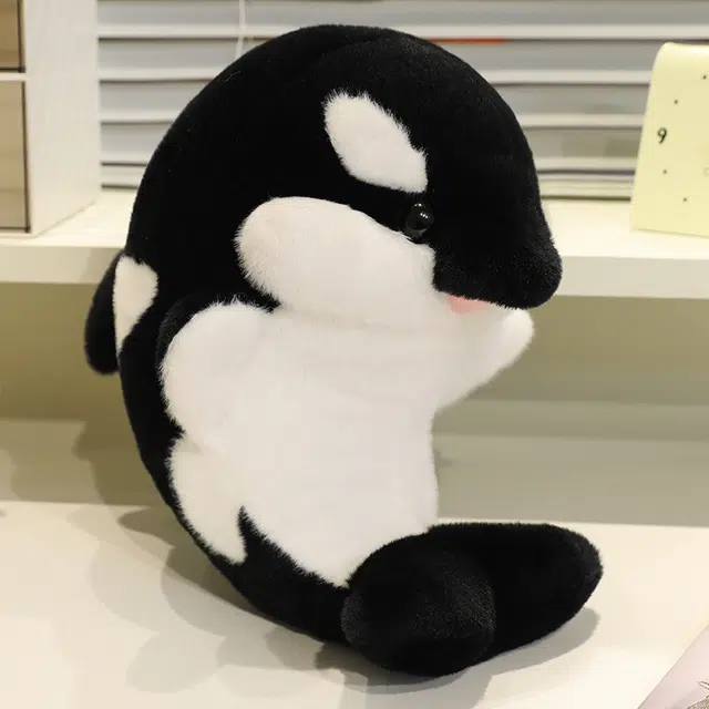 35cm50cm