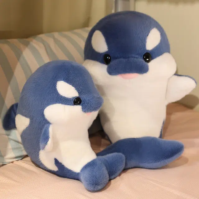 35cm50cm