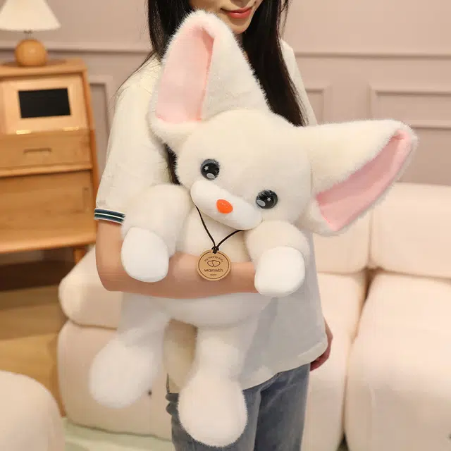 30cm50cm
