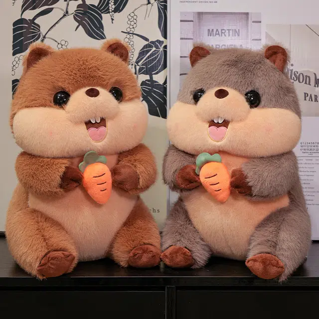 25cm40cm