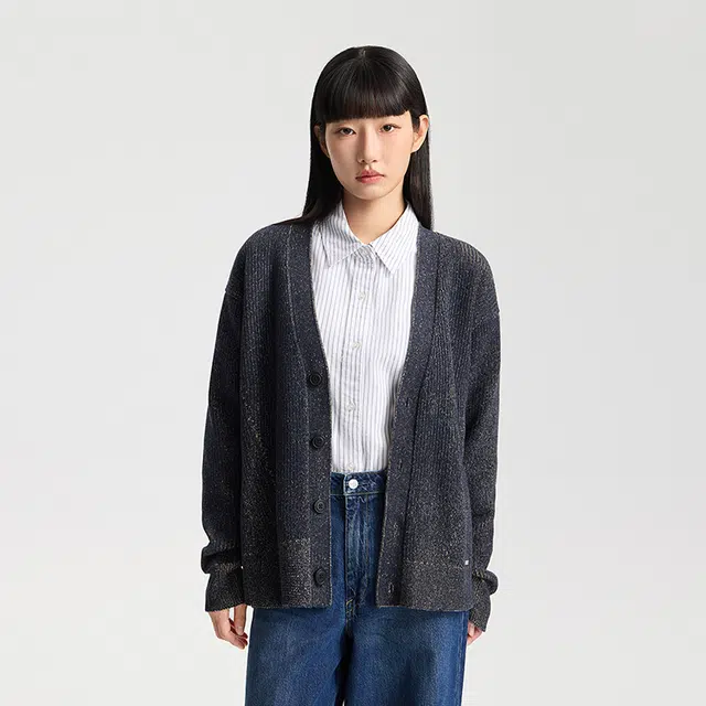 Lee FW25 V