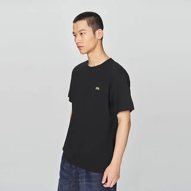 Lee T