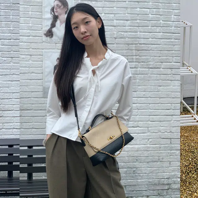 西木汀 踏风 小众设计高级感简约通勤百搭 牛皮 手提包 常规 女款 多色