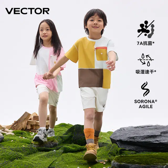 VECTORT