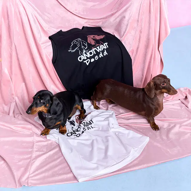 -CANOTWAIT_ ROSY DOEDIANXCANOTWAIT_LOGO - -