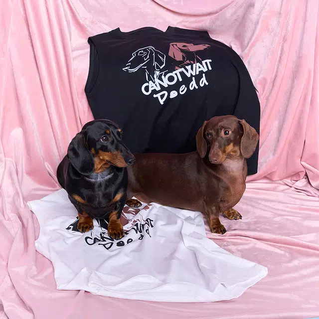 -CANOTWAIT_ ROSY DOEDIANXCANOTWAIT_LOGO - -