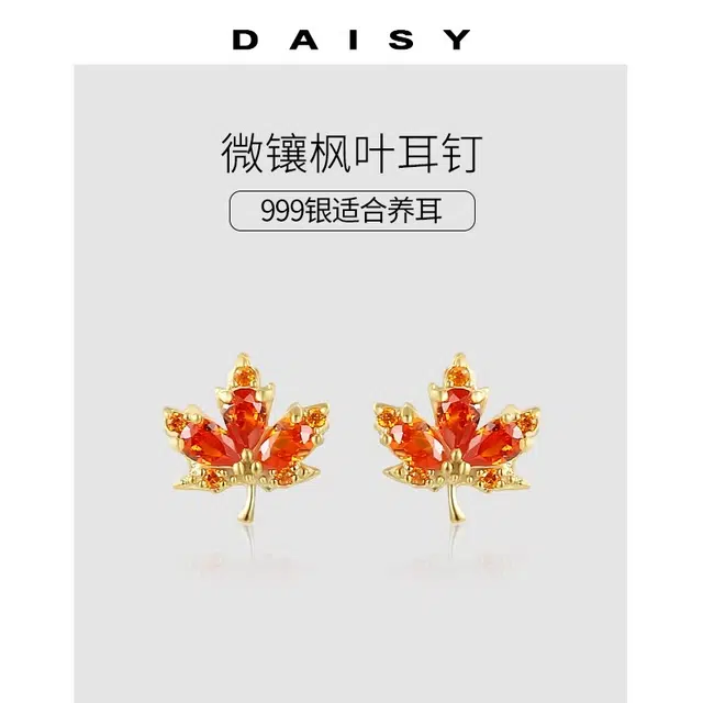 S999 Daisy dream 2025 999