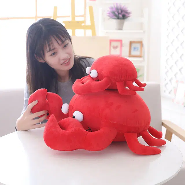 Teacher Lin 20cm30cm50cm80cm