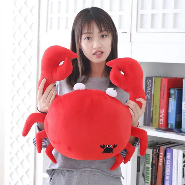Teacher Lin 20cm30cm50cm80cm