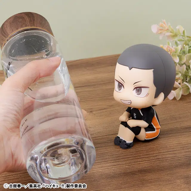 MegaHouse lookup
