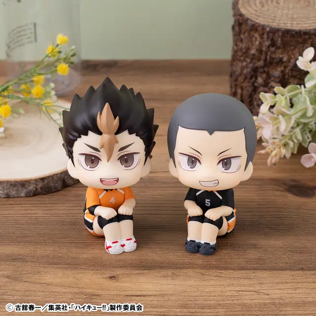 MegaHouse lookup