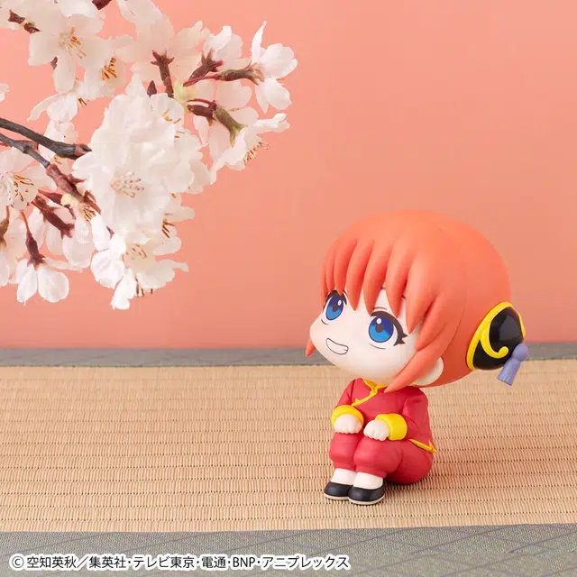 MegaHouse lookup Q