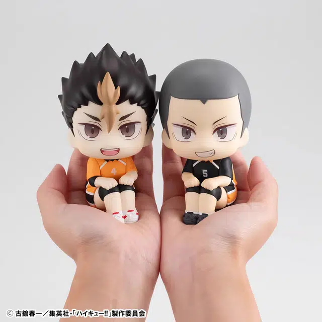 MegaHouse lookup