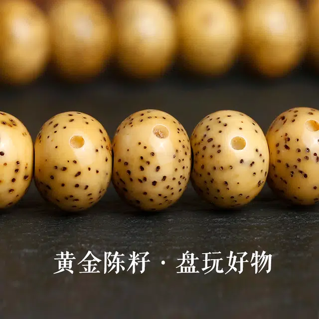 赤藤 新中式国潮复古风文玩手持文玩配饰整套葫芦藏式跑环念佛珠国风时尚简约高级文玩#好运 星月菩提 手串 男款