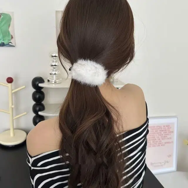 insbb